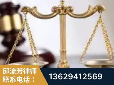 靖西-委托诉讼代理人出庭